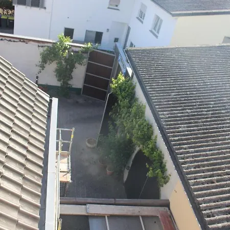 Gruener Baum 3*