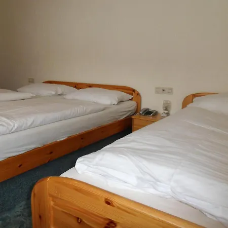 Hotel Gruener Baum 3*