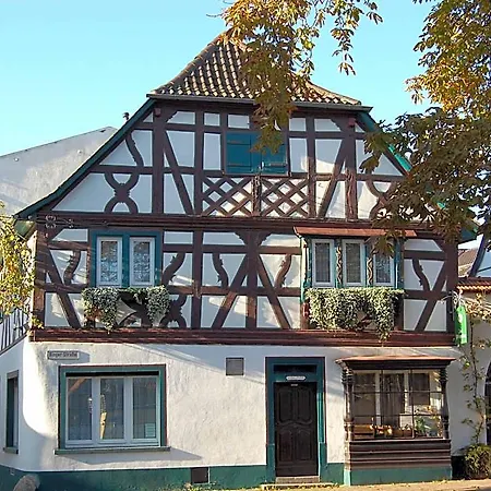 Gruener Baum Bretzenheim