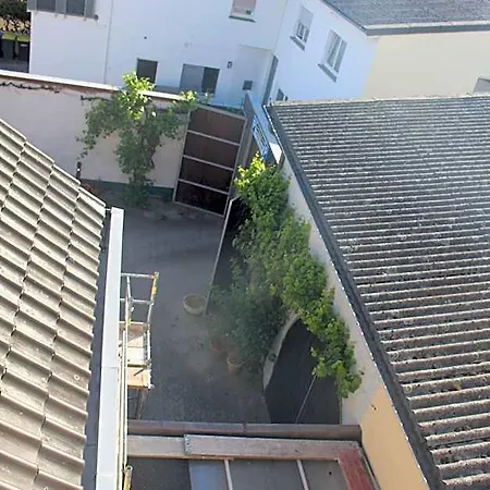 ホテル Gruener Baum Bretzenheim