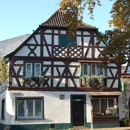 Hotel Gruener Baum