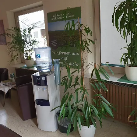 Gruener Baum Szálloda 3*