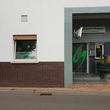 绿树酒店 酒店 Bretzenheim