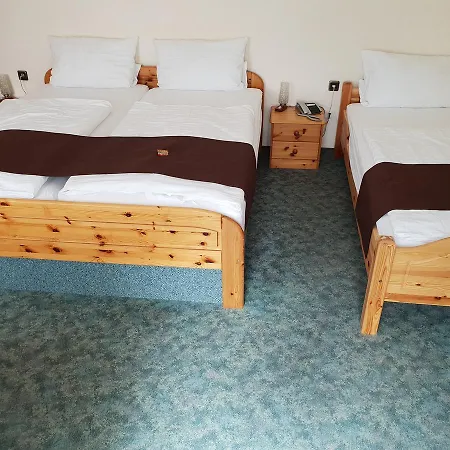 Hotel Gruener Baum 3*