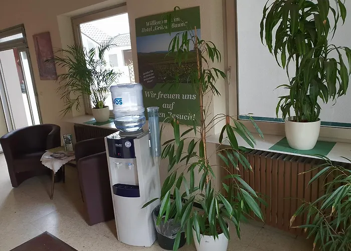 Gruener Baum Отель 3*