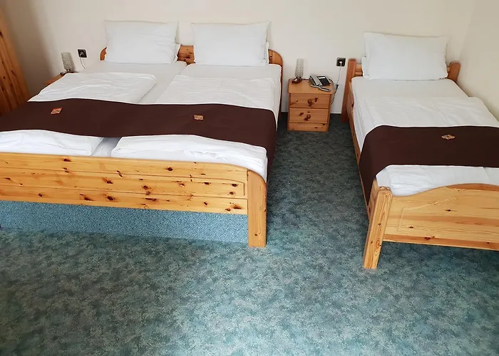 Отель Gruener Baum 3*